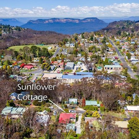 Sunflower Cottage Katoomba Exteriér fotografie