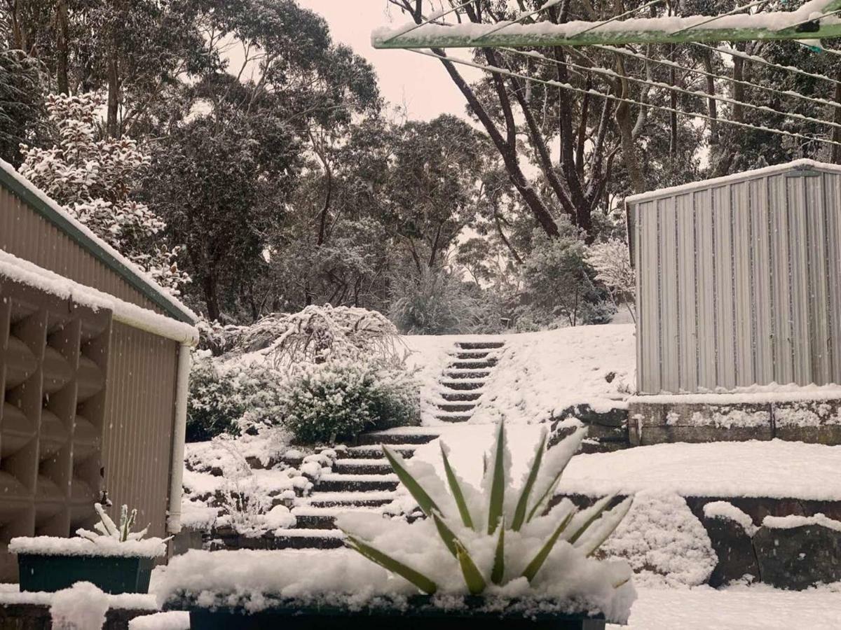 Sunflower Cottage Katoomba Exteriér fotografie